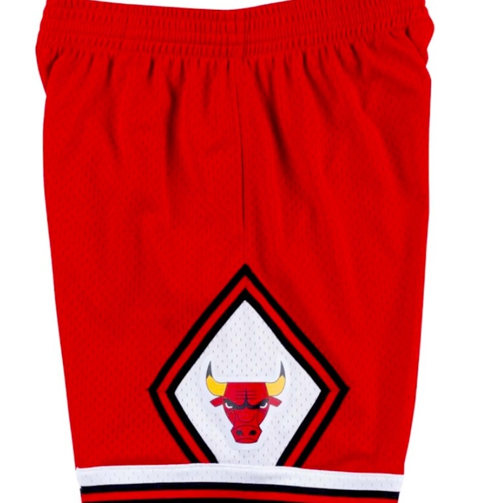 Mens Mitchell and Ness swingman shorts